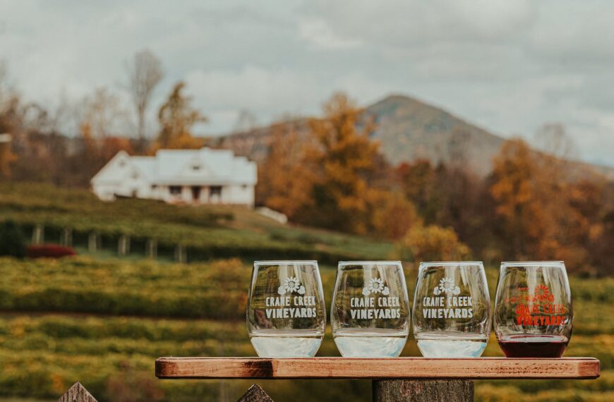 Photo by Juan Vargas: https://www.pexels.com/photo/wineglasses-placed-on-wooden-table-in-vineyard-5697222/