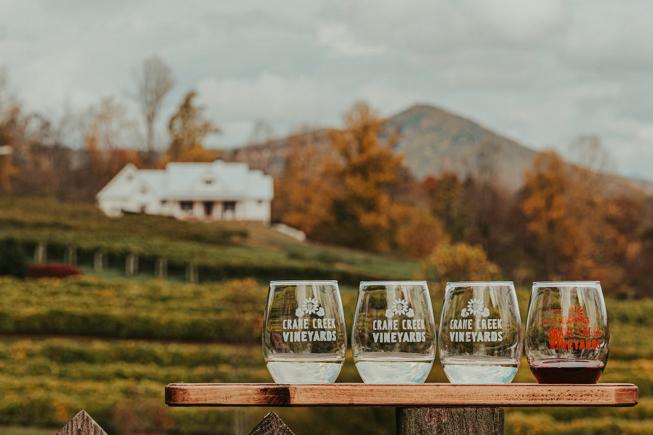 Photo by Juan Vargas: https://www.pexels.com/photo/wineglasses-placed-on-wooden-table-in-vineyard-5697222/